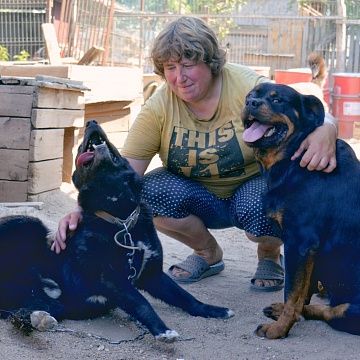Наташа и ее деревня собак: третий проект Инициативной группы на платформе "Планета"